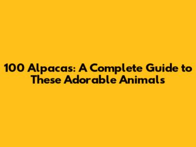100 Alpacas: A Complete Guide to These Adorable Animals