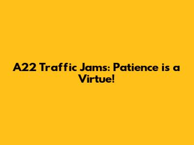 A22 Traffic Jams: Patience is a Virtue!