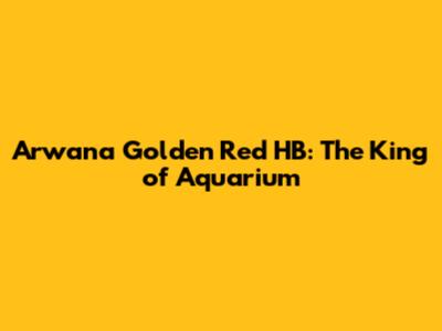 Arwana Golden Red HB: The King of Aquarium