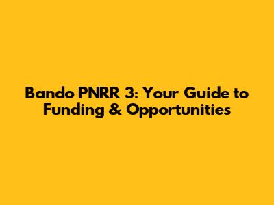 Bando PNRR 3: Your Guide to Funding & Opportunities