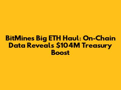 BitMine's Big ETH Haul: On-Chain Data Reveals $104M Treasury Boost
