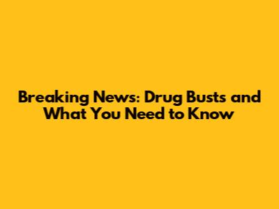 Breaking News: Drug Busts and What You Need to Know
