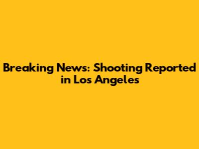 Breaking News: Shooting Reported in Los Angeles