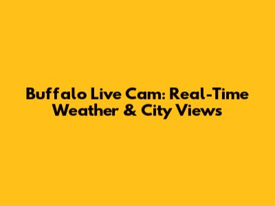 Buffalo Live Cam: Real-Time Weather & City Views