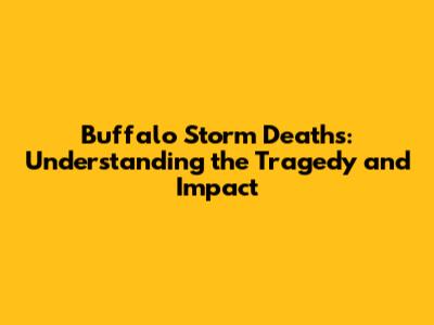 Buffalo Storm Deaths: Understanding the Tragedy and Impact
