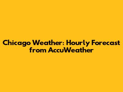 Chicago Weather: Hourly Forecast from AccuWeather