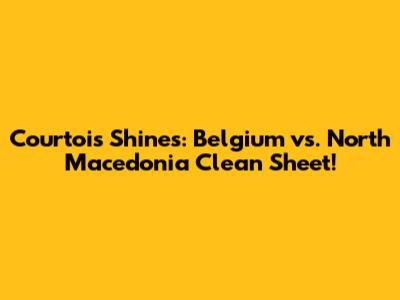 Courtois Shines: Belgium vs. North Macedonia Clean Sheet!