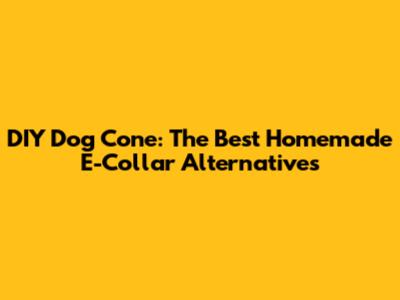 DIY Dog Cone: The Best Homemade E-Collar Alternatives