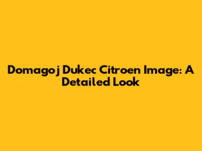 Domagoj Dukec Citroen Image: A Detailed Look