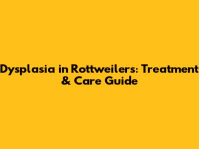Dysplasia in Rottweilers: Treatment & Care Guide