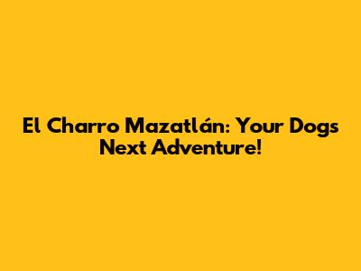 El Charro Mazatlán: Your Dog's Next Adventure!