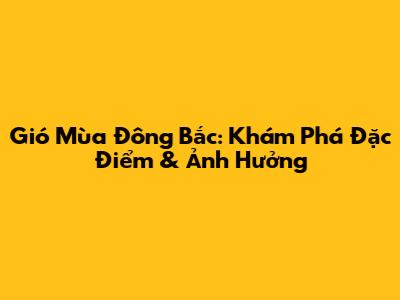 Gió Mùa Đông Bắc: Khám Phá Đặc Điểm & Ảnh Hưởng
