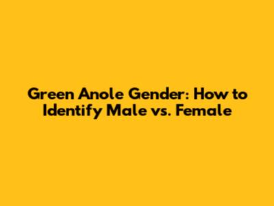 Green Anole Gender: How to Identify Male vs. Female