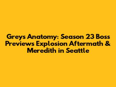Grey's Anatomy: Season 23 Boss Previews Explosion Aftermath & Meredith in Seattle