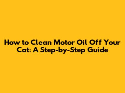 How to Clean Motor Oil Off Your Cat: A Step-by-Step Guide