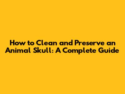 How to Clean and Preserve an Animal Skull: A Complete Guide