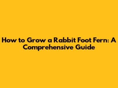 How to Grow a Rabbit Foot Fern: A Comprehensive Guide