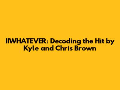 IIWHATEVER: Decoding the Hit by Kyle and Chris Brown