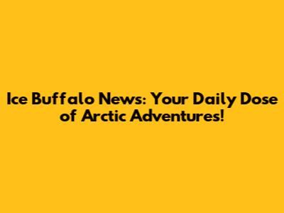 Ice Buffalo News: Your Daily Dose of Arctic Adventures!