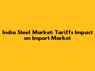 India Steel Market: Tariffs Impact on Import Market