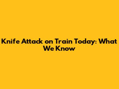 Knife Attack on Train Today: What We Know