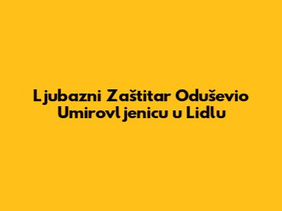 Ljubazni Zaštitar Oduševio Umirovljenicu u Lidlu