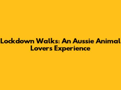 Lockdown Walks: An Aussie Animal Lover's Experience