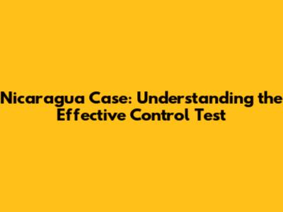 Nicaragua Case: Understanding the Effective Control Test