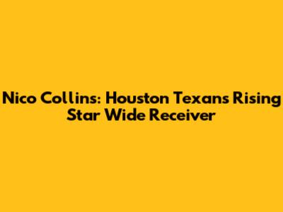 Nico Collins: Houston Texans' Rising Star Wide Receiver