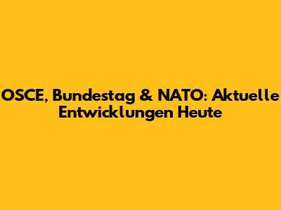 OSCE, Bundestag & NATO: Aktuelle Entwicklungen Heute