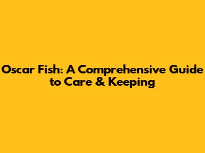 Oscar Fish: A Comprehensive Guide to Care & Keeping