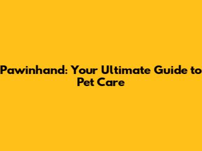 Pawinhand: Your Ultimate Guide to Pet Care