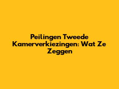 Peilingen Tweede Kamerverkiezingen: Wat Ze Zeggen