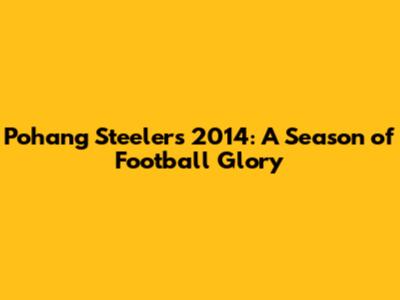 Pohang Steelers 2014: A Season of Football Glory