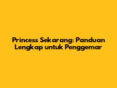 Princess Sekarang: Panduan Lengkap untuk Penggemar