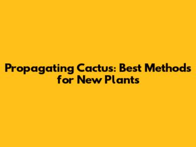 Propagating Cactus: Best Methods for New Plants