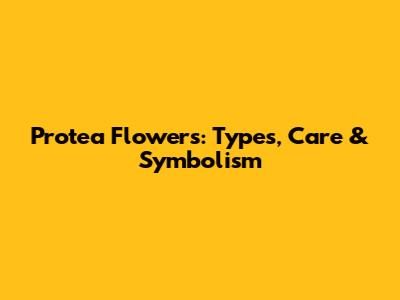 Protea Flowers: Types, Care & Symbolism