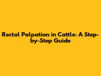 Rectal Palpation in Cattle: A Step-by-Step Guide
