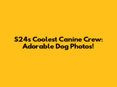 S24's Coolest Canine Crew: Adorable Dog Photos!