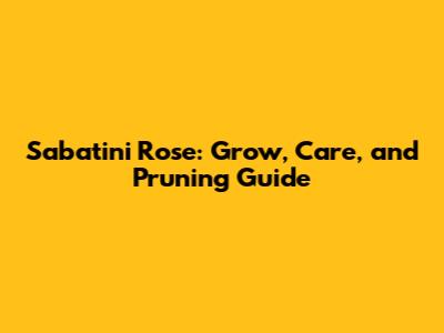 Sabatini Rose: Grow, Care, and Pruning Guide