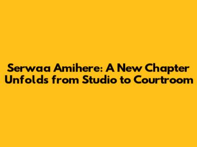 Serwaa Amihere: A New Chapter Unfolds from Studio to Courtroom
