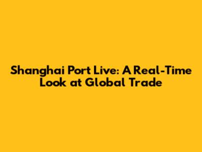 Shanghai Port Live: A Real-Time Look at Global Trade