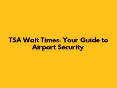 TSA Wait Times: Your Guide to Airport Security