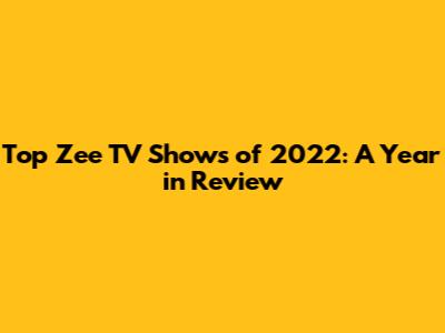 Top Zee TV Shows of 2022: A Year in Review