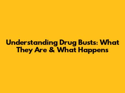 Understanding Drug Busts: What They Are & What Happens