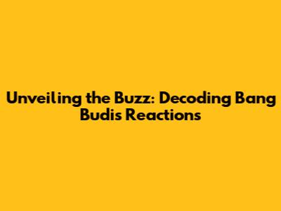 Unveiling the Buzz: Decoding Bang Budi's Reactions